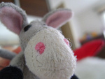 Fotoblog chochitoo