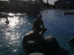 Fotoblog jarecki616