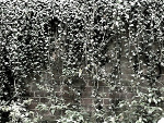 Fotoblog glupiazmilosci