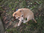 Fotoblog patikanka124