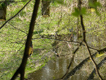 Fotoblog bundeswera