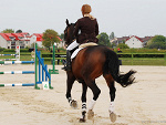 Wpis sakra
