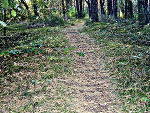 Fotoblog czaryymaryy