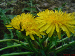 Fotoblog piotrasz