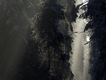 Fotoblog pielgrzym66