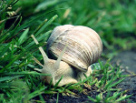 Fotoblog grzecznawariatax3