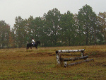 Fotoblog silvanaa