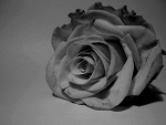 Fotoblog missdamned