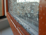 Fotoblog miodziophotography