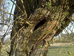 Fotoblog damian8610