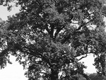 Fotoblog zjaranasloncem