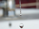 Fotoblog gruby546