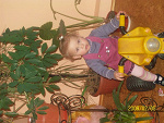 Fotoblog stecyk1233