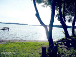 Fotoblog olexusiek