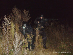 Fotoblog dziki166