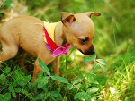 Fotoblog mania90