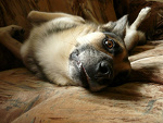 Fotoblog pavloboy