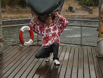 Fotoblog bobr