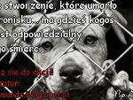 Fotoblog karolinka199202