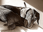 Fotoblog xvxolaxvx