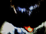 Fotoblog przemoemo