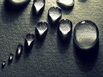 Fotoblog yumka