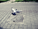 Fotoblog monoolog