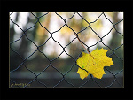 Fotoblog zula14