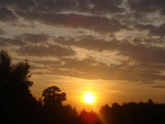 Fotoblog mjowa
