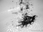 Fotoblog trampek506