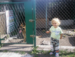 Fotoblog werva