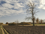 Fotoblog iglasty88