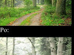 Fotoblog imadeitonly4fun