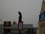 Fotoblog to0mek