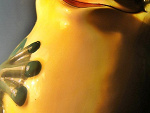 Fotoblog qlimaxik