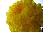Fotoblog patrishiaaa2