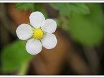 Fotoblog daruhhaa96