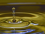Fotoblog lucioniemaszans