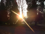 Fotoblog chowa91