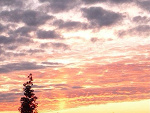 Fotoblog kiisiek