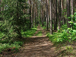 Fotoblog cmachim