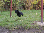 Fotoblog razyel2