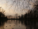 Fotoblog ecstasy7
