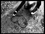 Fotoblog siwus989