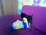 Fotoblog daga2466