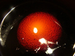 Fotoblog vxjzd3y