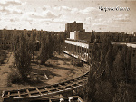 Fotoblog lesny666