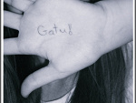 Fotoblog gatush