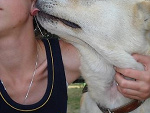 Fotoblog tylkone