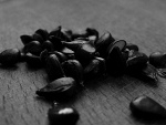 Fotoblog agrawa666
